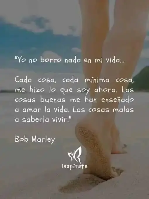 1690297544110.webp