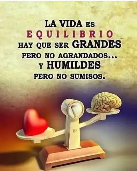 1690664681864.webp