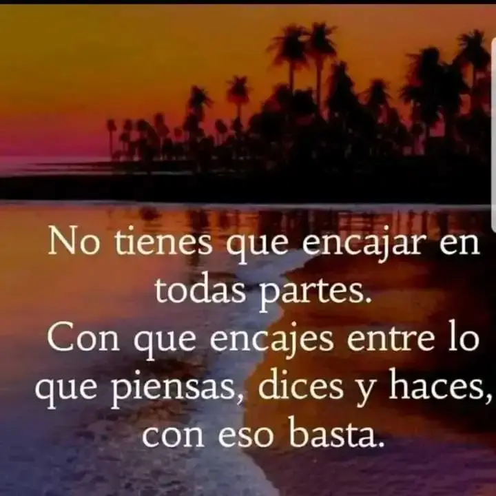 1690682735344.webp