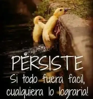 1690975071319.webp