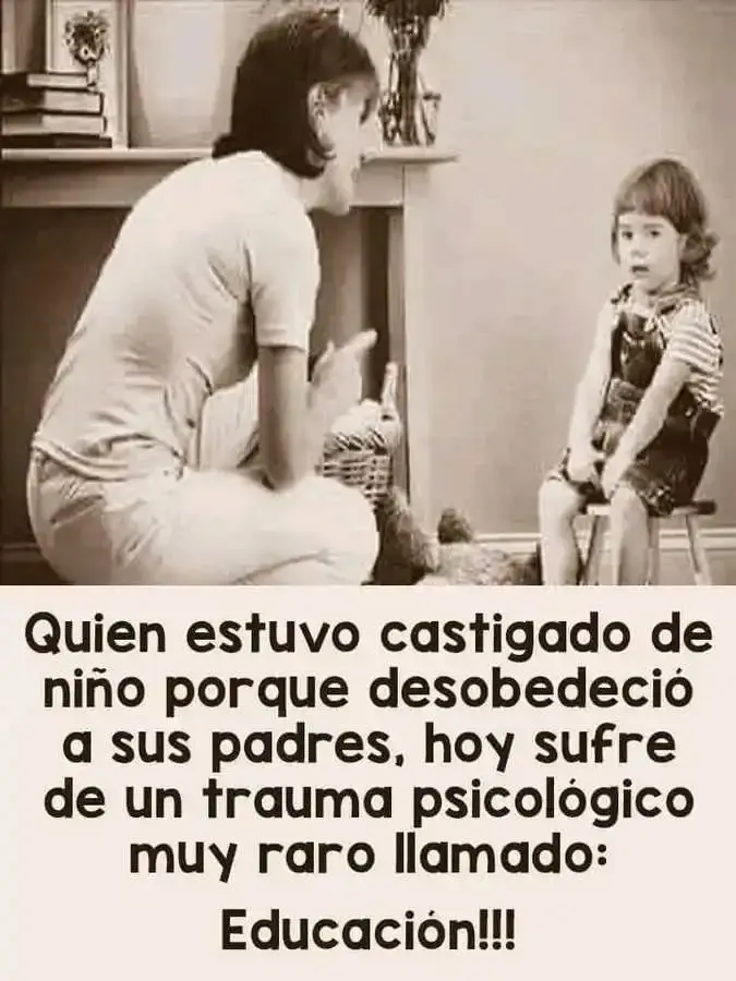 1690925308591.webp