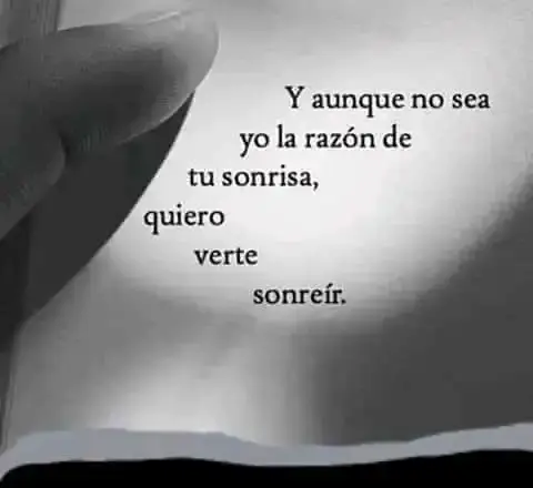 1690872882856.webp