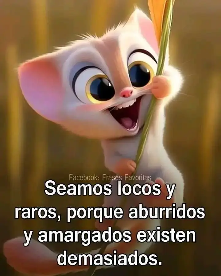 1691496332380.webp