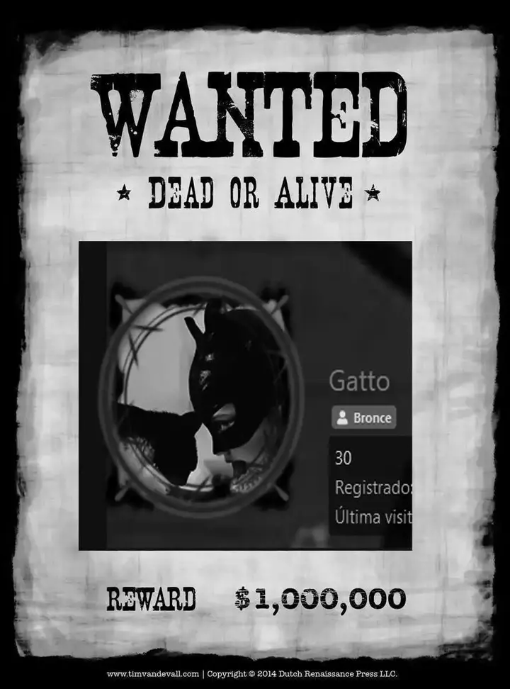 gatto wanted.webp