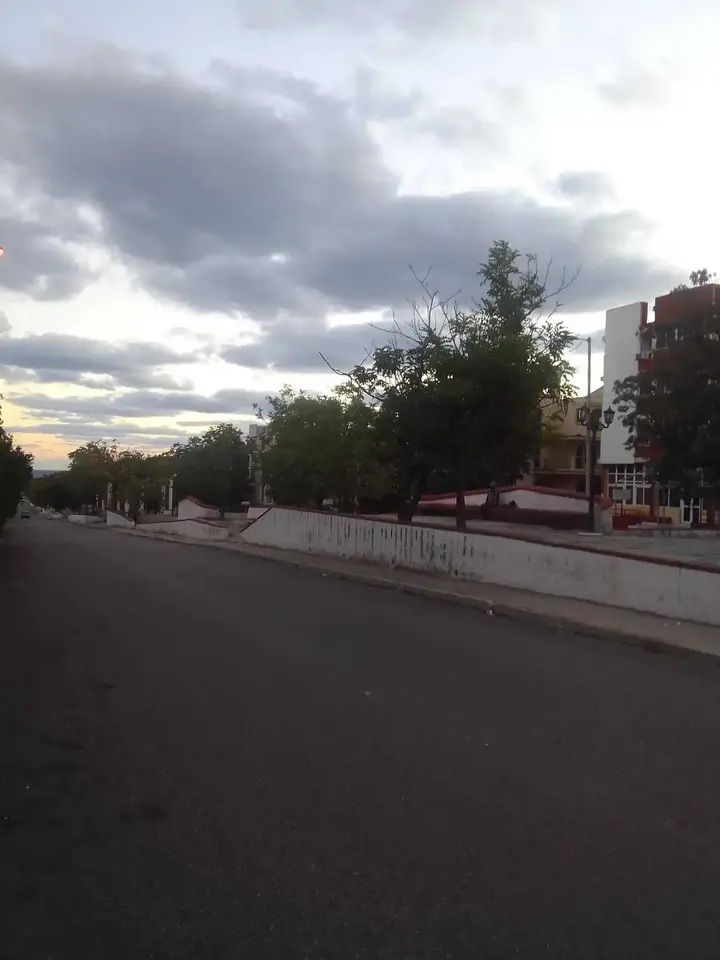 IMG_20231018_072653.webp
