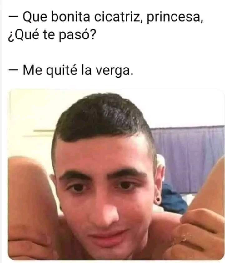 1732308223473.webp