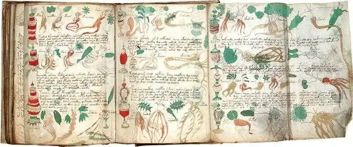 codice-voynich-farmacologico_1e3648d0_720x300.webp