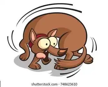 cartoon-dog-chasing-tail-260nw-748623610.webp