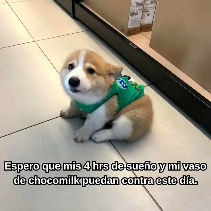 Tumblr_l_61895571594459.webp