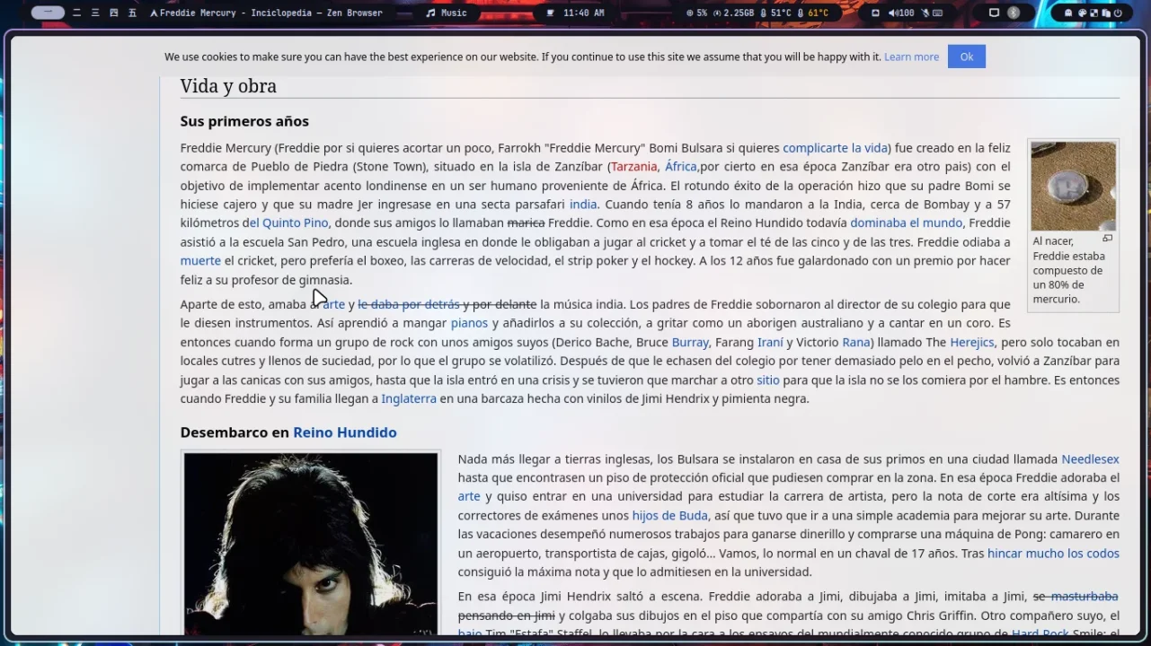1747064419986.webp