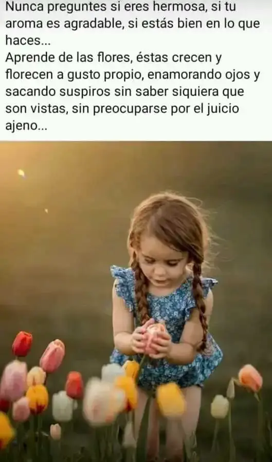 FB_IMG_16849962885539064.webp