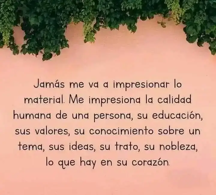 FB_IMG_16853957687150541.webp