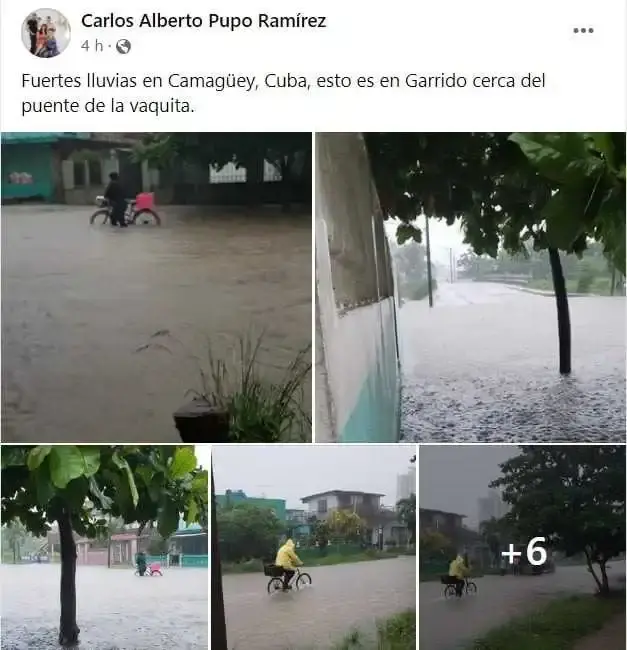 puentevideo.webp puentevideo.webp