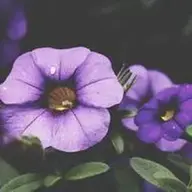 aotroconesecuento