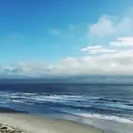 Rfel