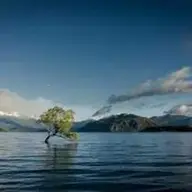 Lenalle