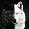 Dark wolf