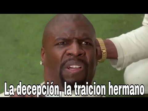 hqdefault.jpg